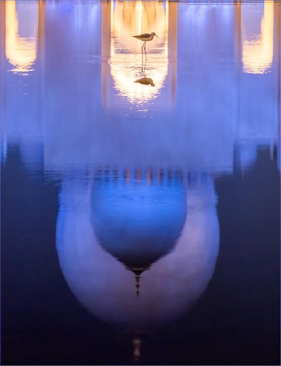 HELD BACK Wader at The Grand Mosque by Daniel Langer