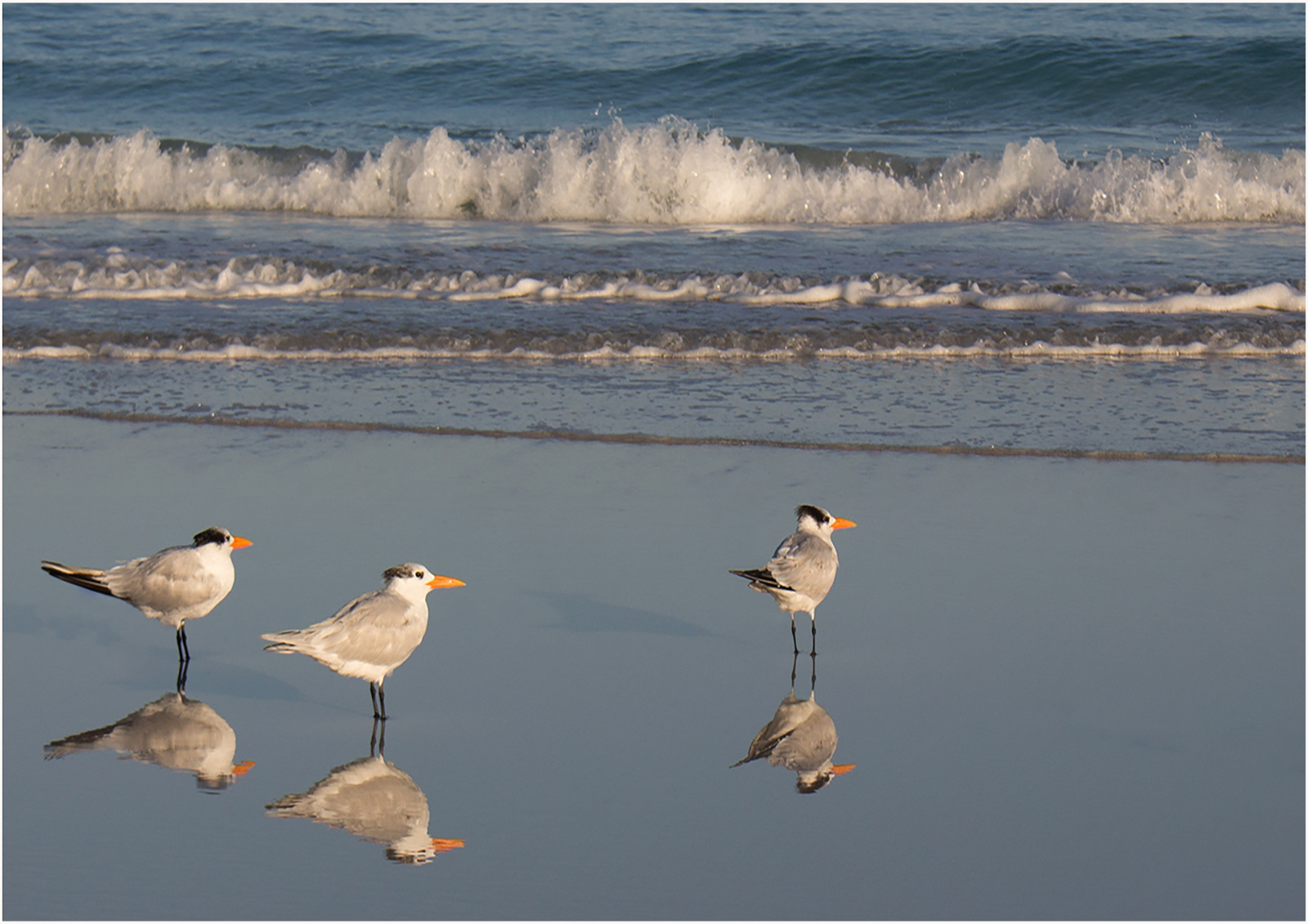 7.5 Three Amigos at the Beach by Catherine Allum