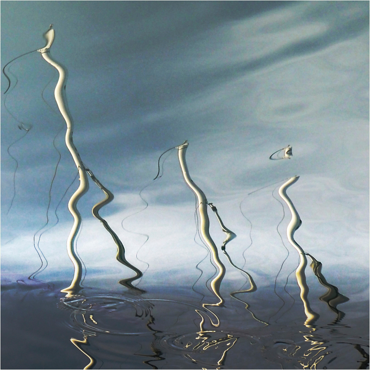 Water Walkers by Bob Ede