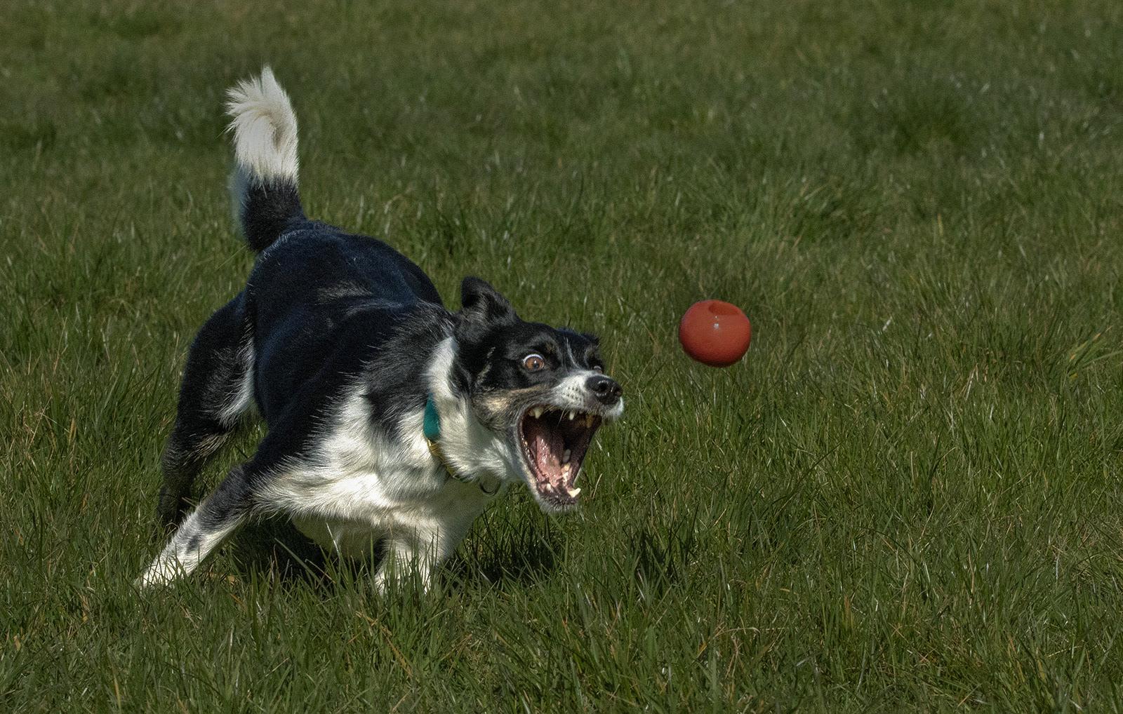 WINNER Eyes on the prize by Helen Bannan