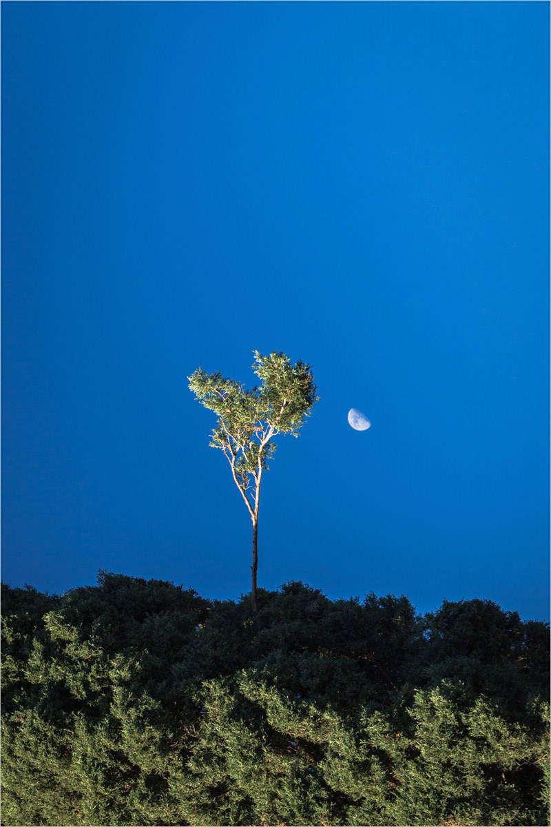Sigal Kellermann_Over the moon