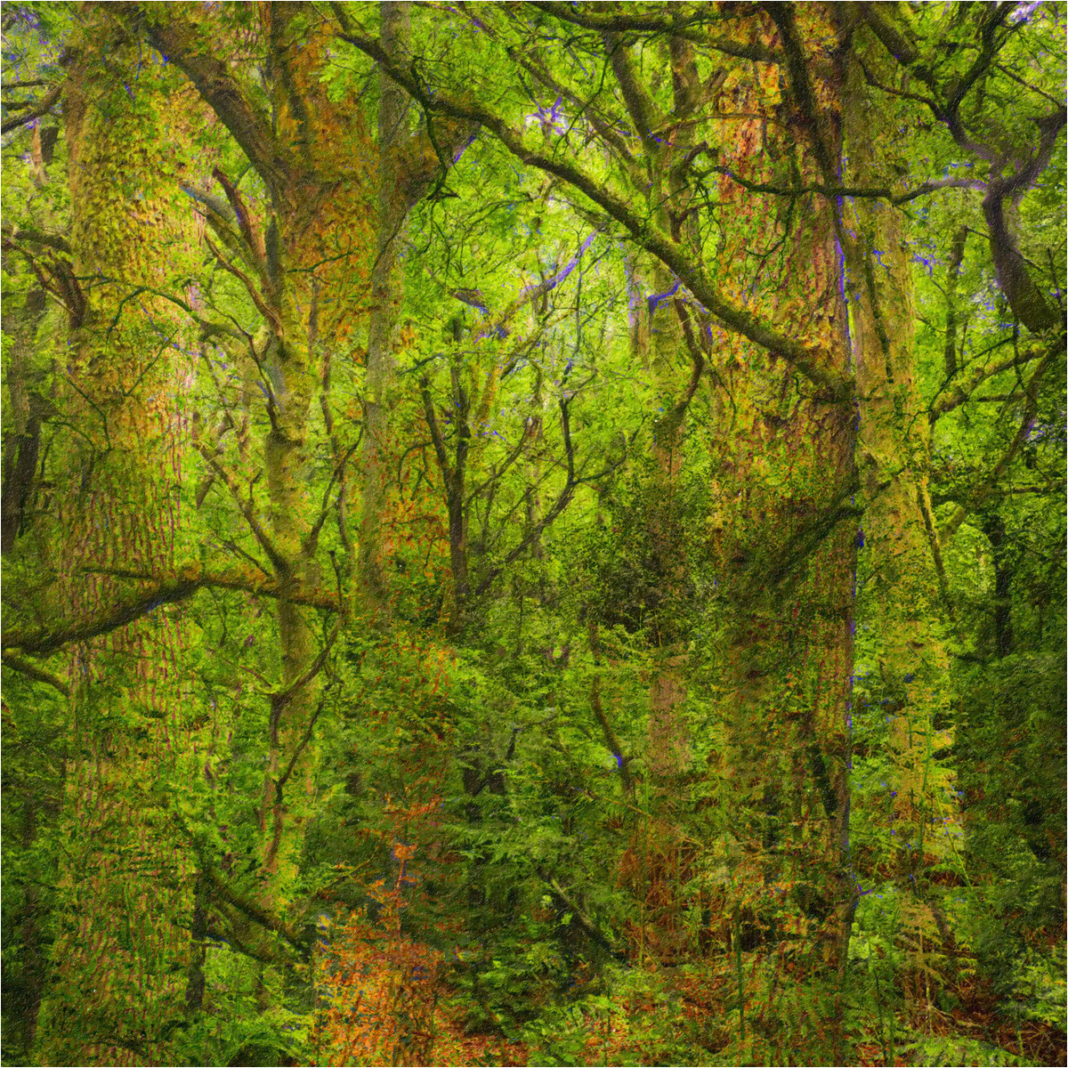 Spring Tangle by Andrew Webster ARPS
