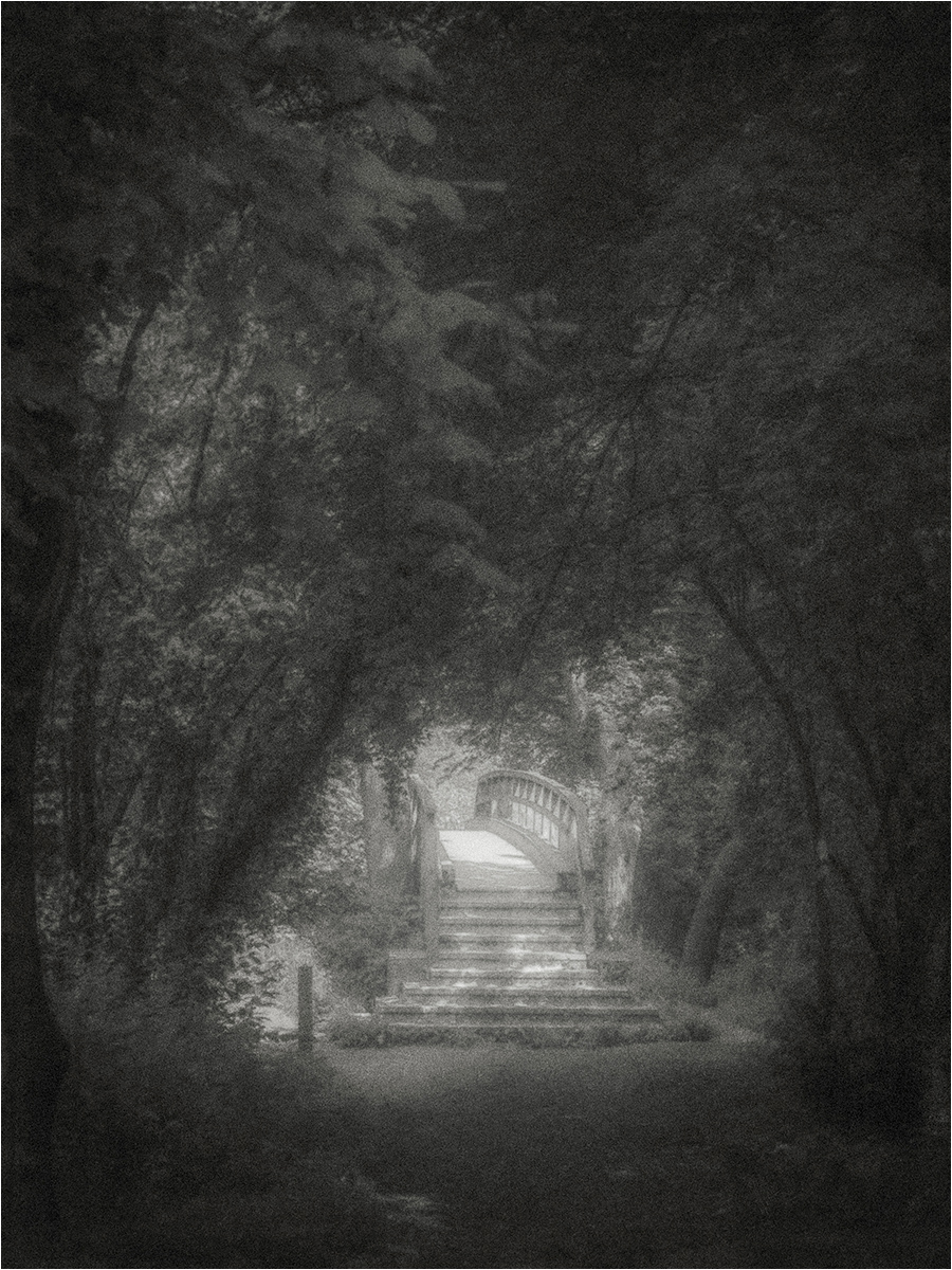 HELD BACK The Stepping Stones Footbridge (after Misonne) by Barrie Ward