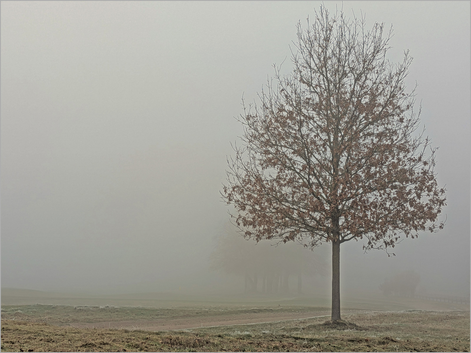 Steve Stuart_Misty Morning