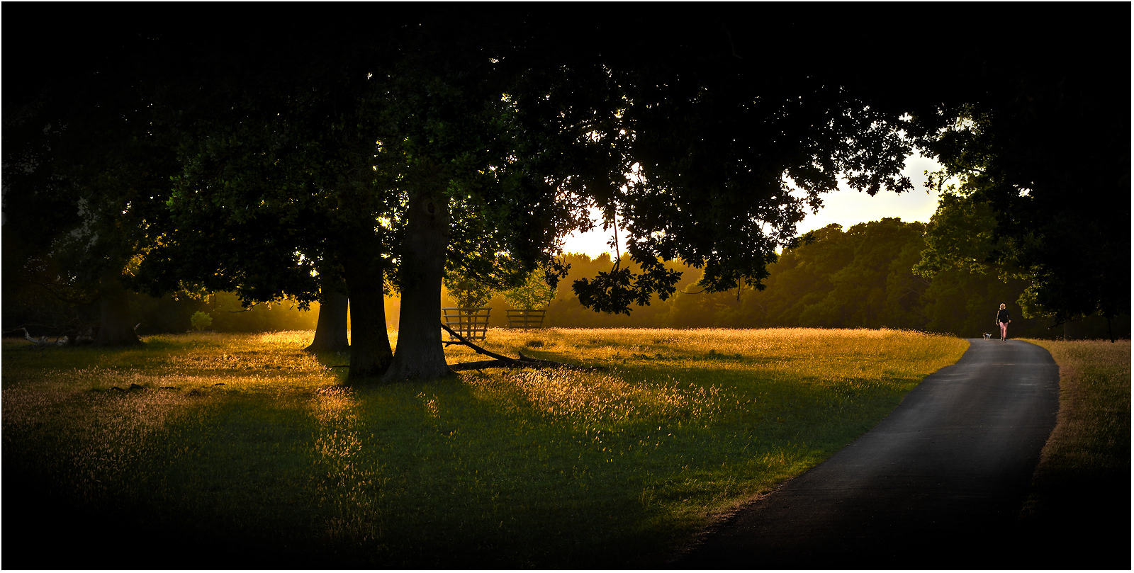 SCORE 10 A Walk in the Park by Harry Thomson