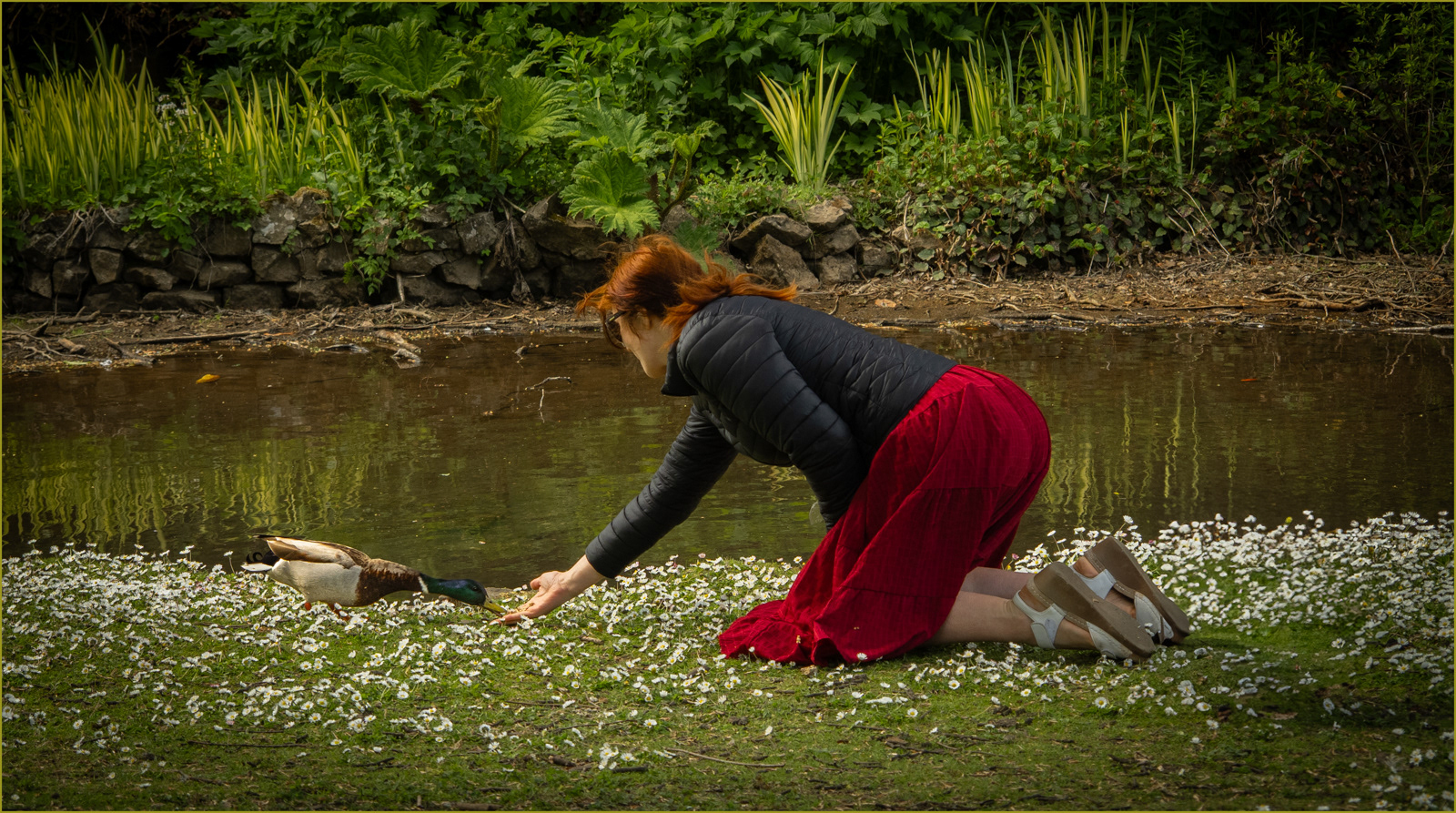 HIGHLY COMMENDED A moment of compassion by Jill Mortimer