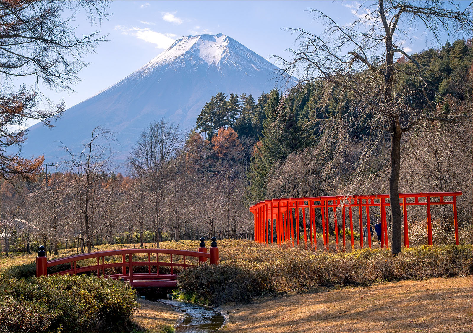 David Balaam_Fuji in Autumn