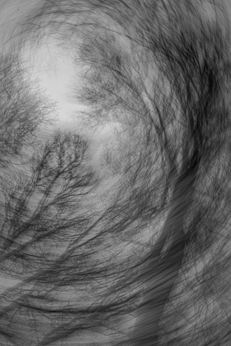 HELD BACK Whirling by Zainab Mahmoud