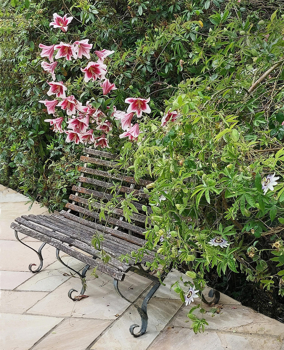 Floral Bench by Edward Bennett LRPS