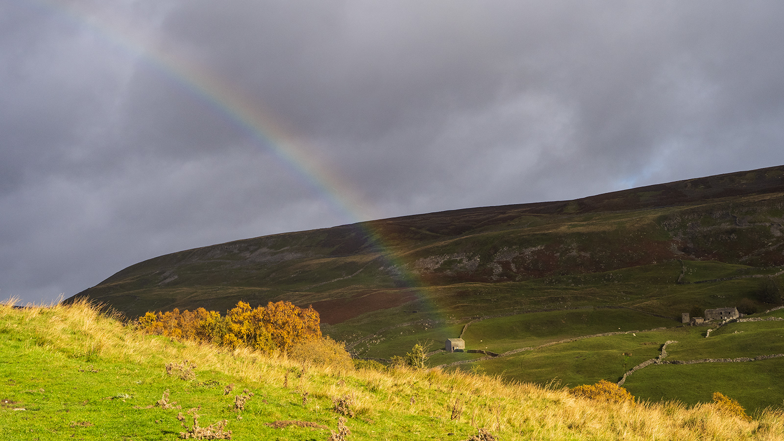 Derek Forss_Where the rainbow ends