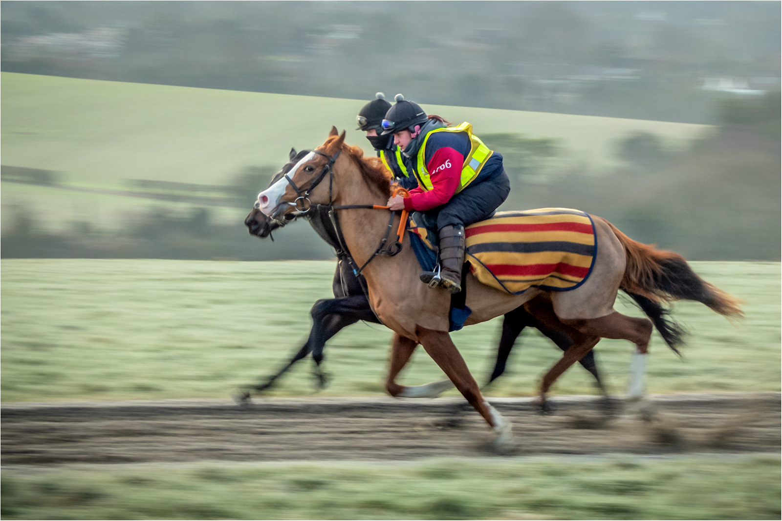 Highly commended - Neck and Neck by Bob Ede