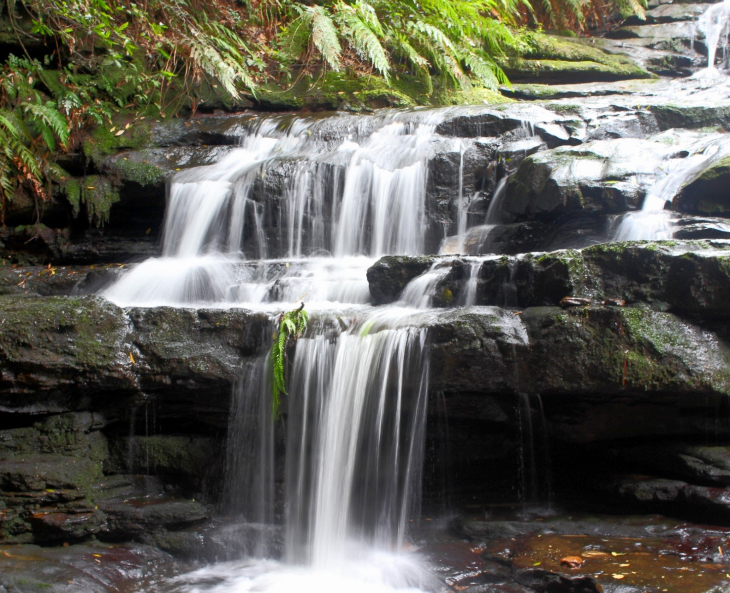 Leura Cascades - Blue Mountains by Alan Loryman