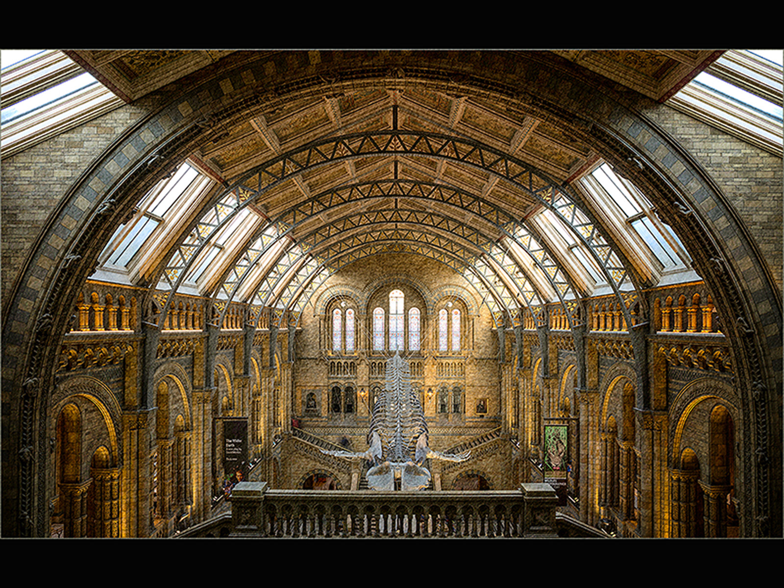 Highly Commended Natural History Museum by David Balaam