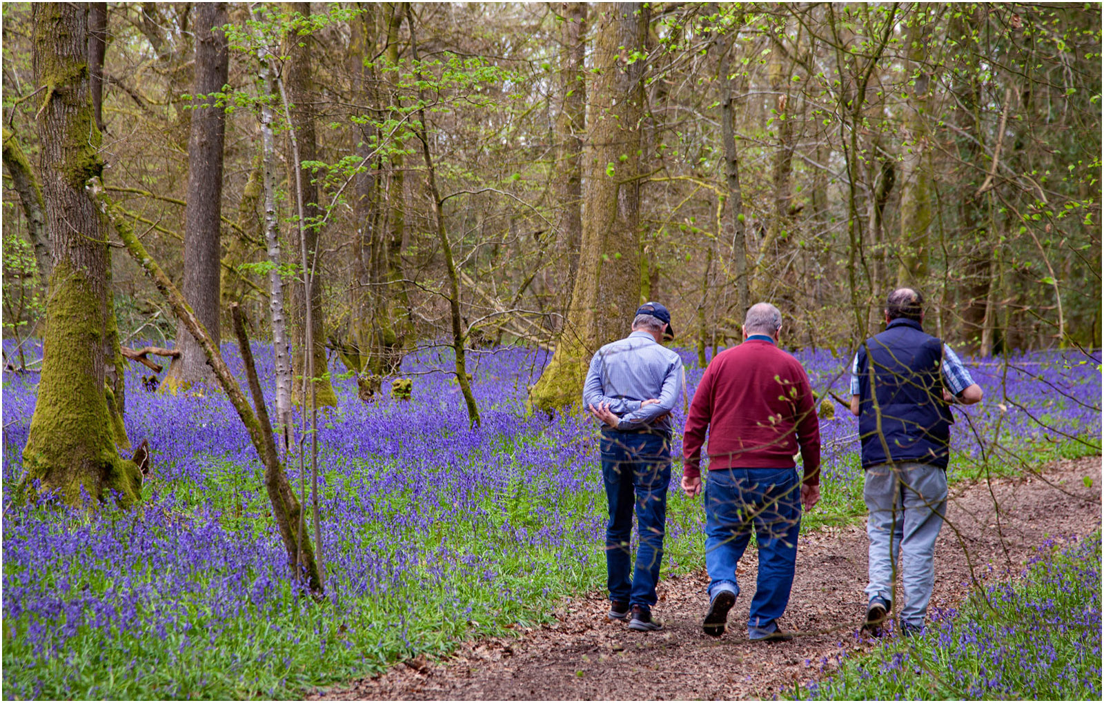 Friends Walking Through the Bluebell Wood by Angela Stockbridge LRPS