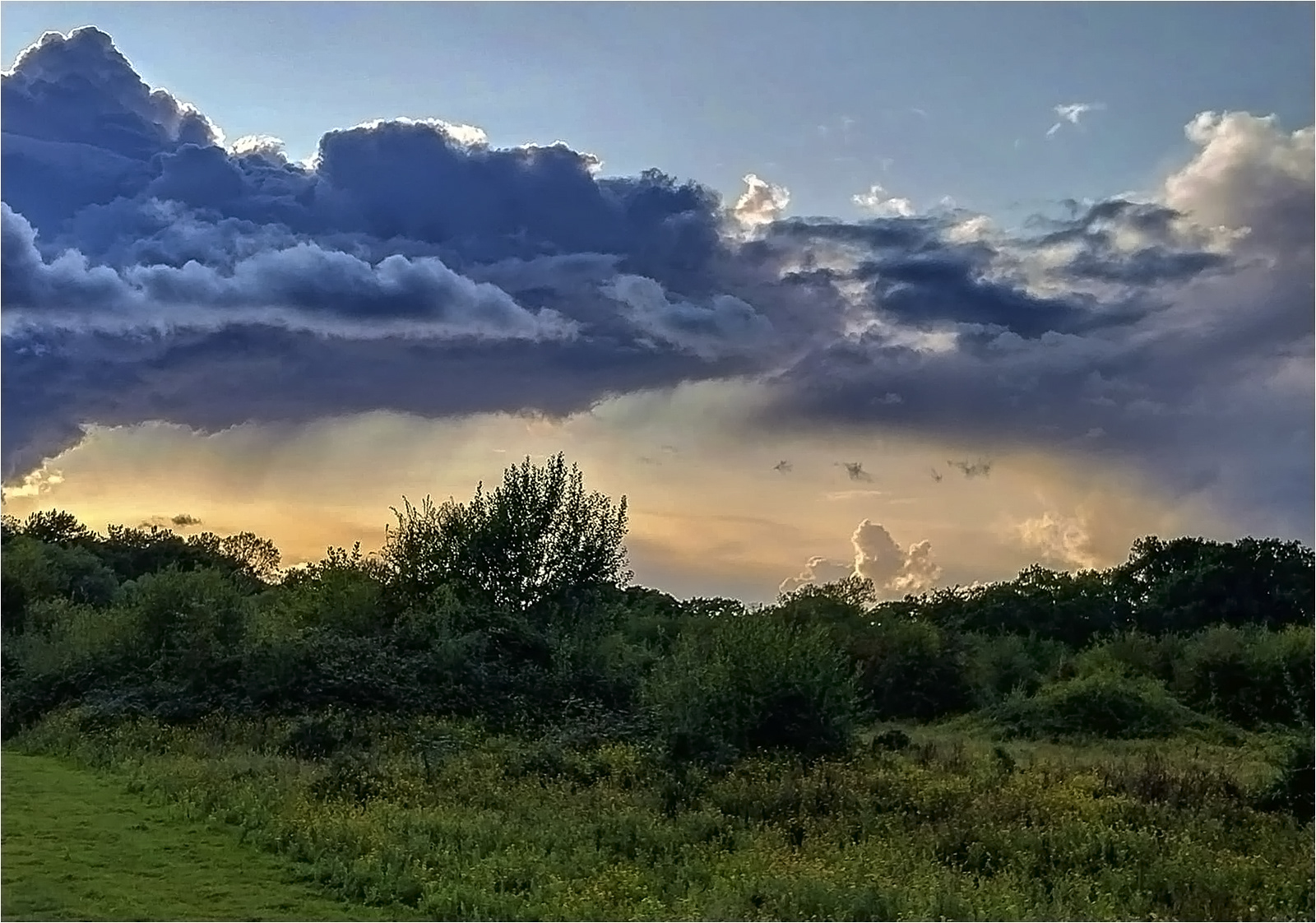 Sunset at Knepp by Pamela Miller