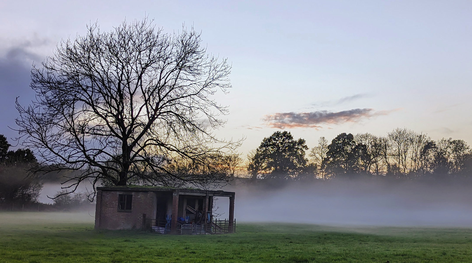 Helen Bannan_Morning Mist at the Farm