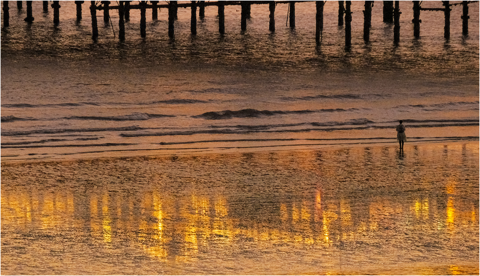Stranger on the Shore by Barrie Ward