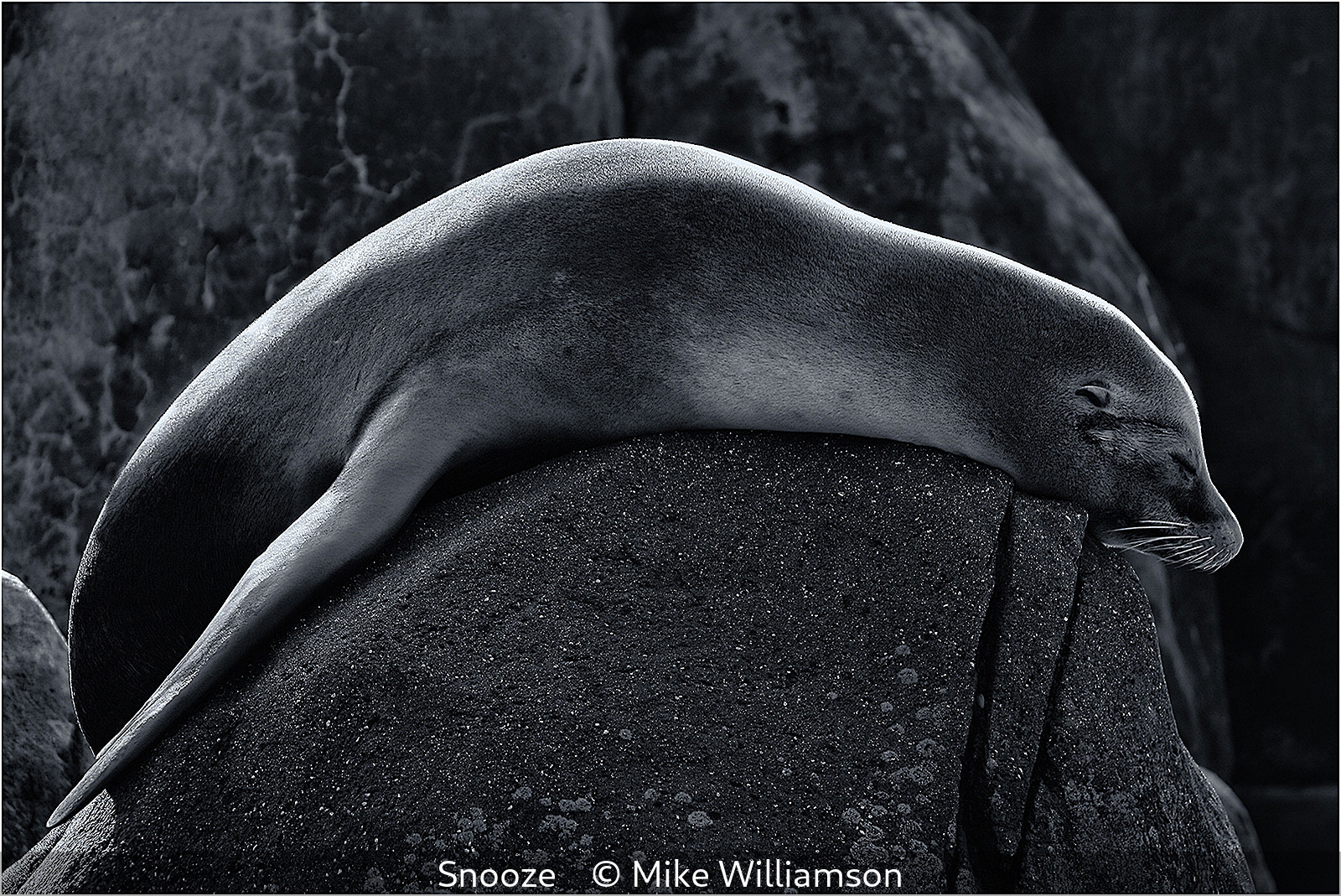 SCORE 9 Mike Williamson - Snooze