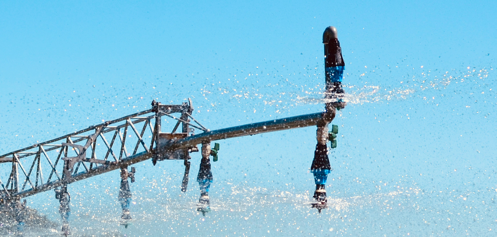 Sprinkler by Duncan Parsons