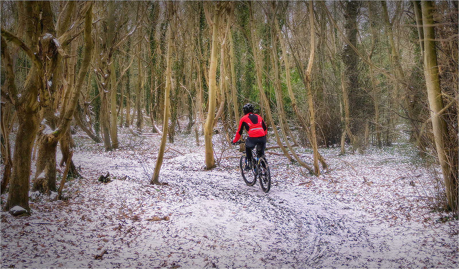 SCORE 9 Snowy woodland cycling by Richard Milton-Worssell