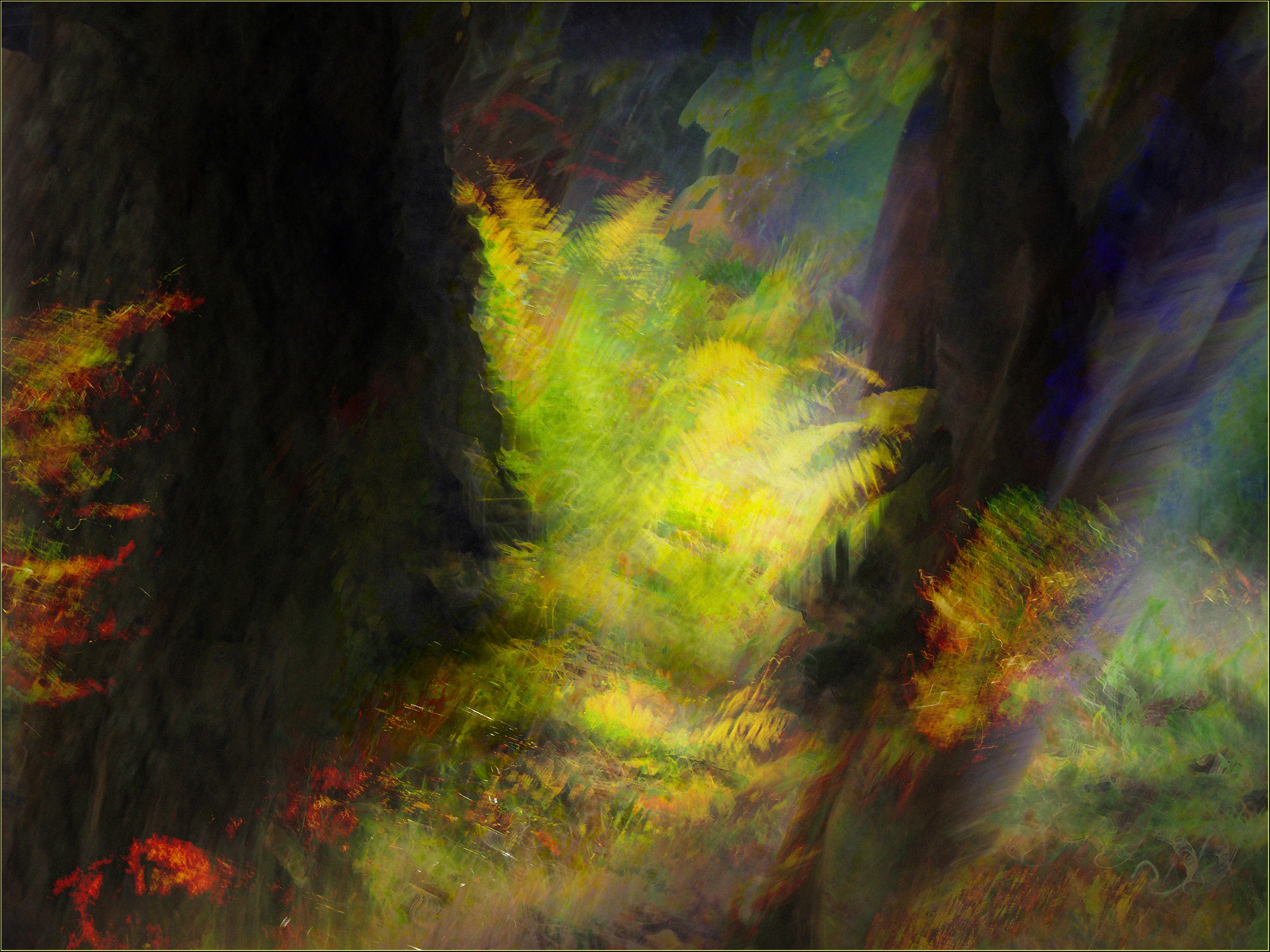 SCORE: 9.0   Sunlit Ferns by Andrew Webster ARPS