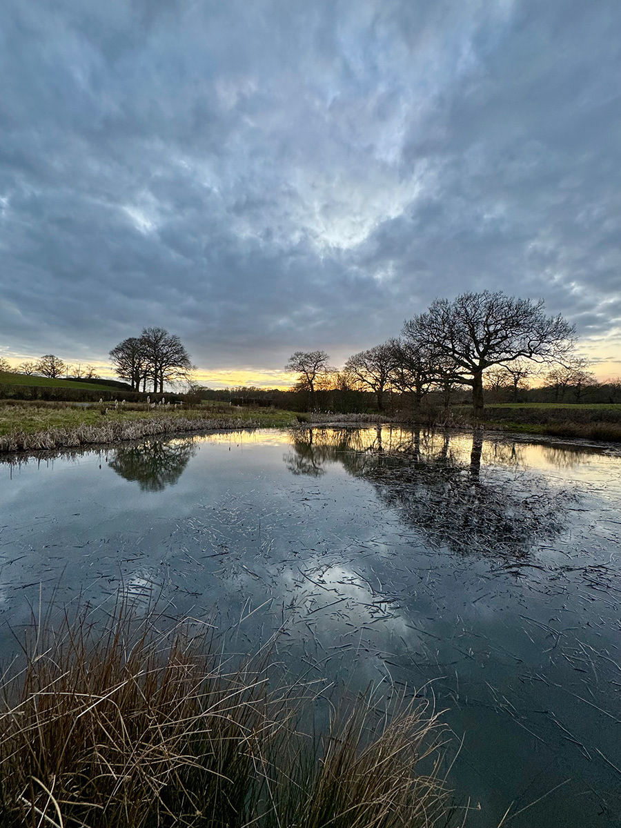 The best views on an evening dog walk by Maribel Monfort