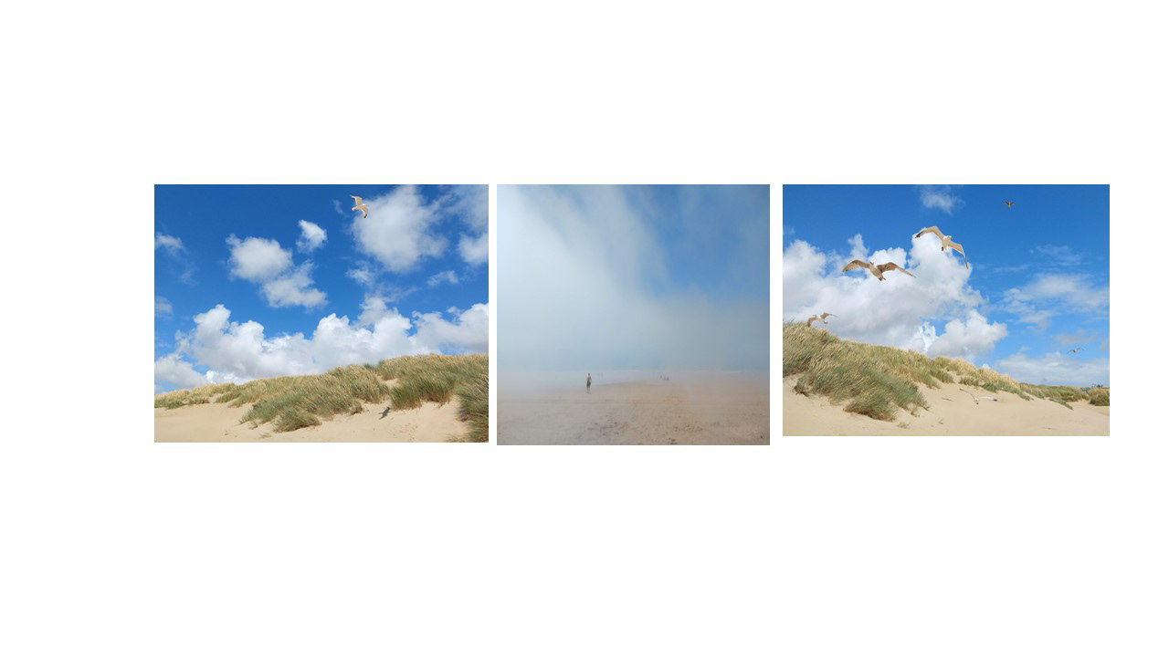 HC Seagulls, Sand and Surfer by Catherine Allum