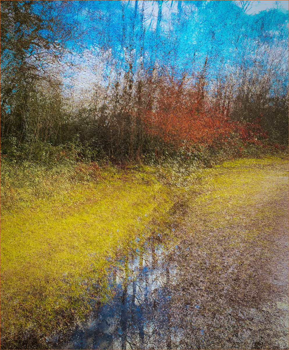 SCORE 9 Impressions of Holmwood Common by Andrew Webster