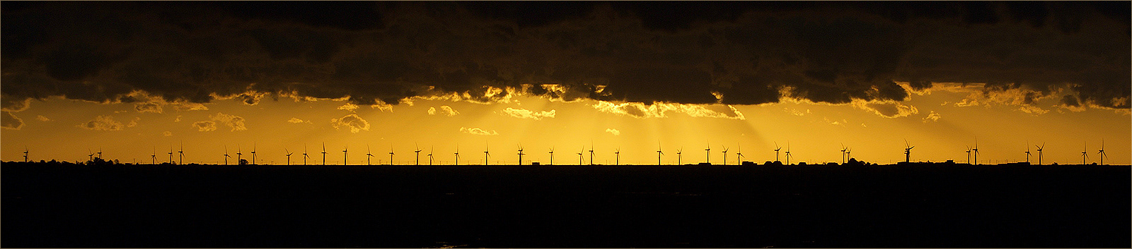 SCORE 10 Mersea Wind Farm - Phil Shooter