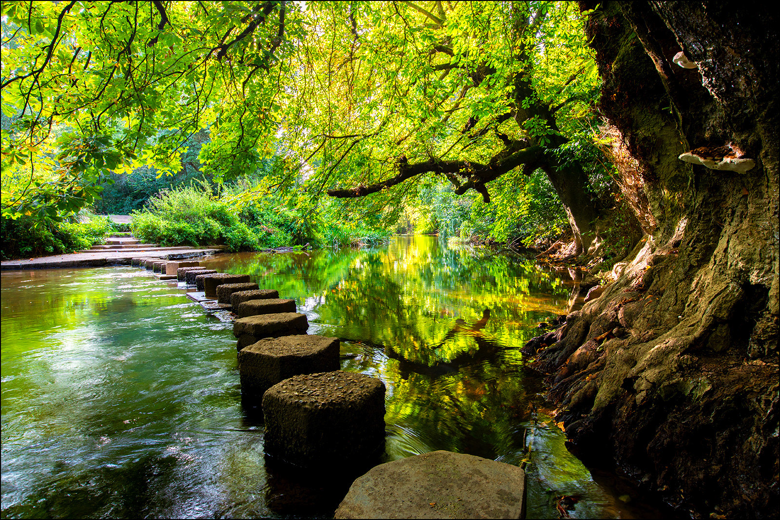 Tranquillity - Stepping Stones at Dorking by Paul Hodson