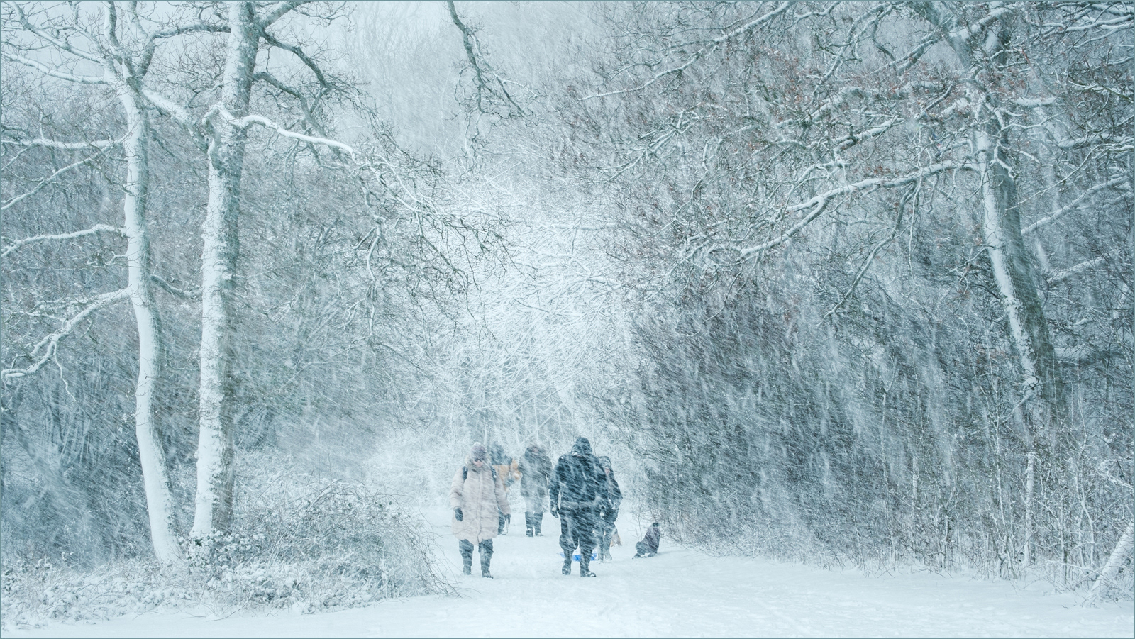 HELD BACK A family day in the snow by Grant Noble