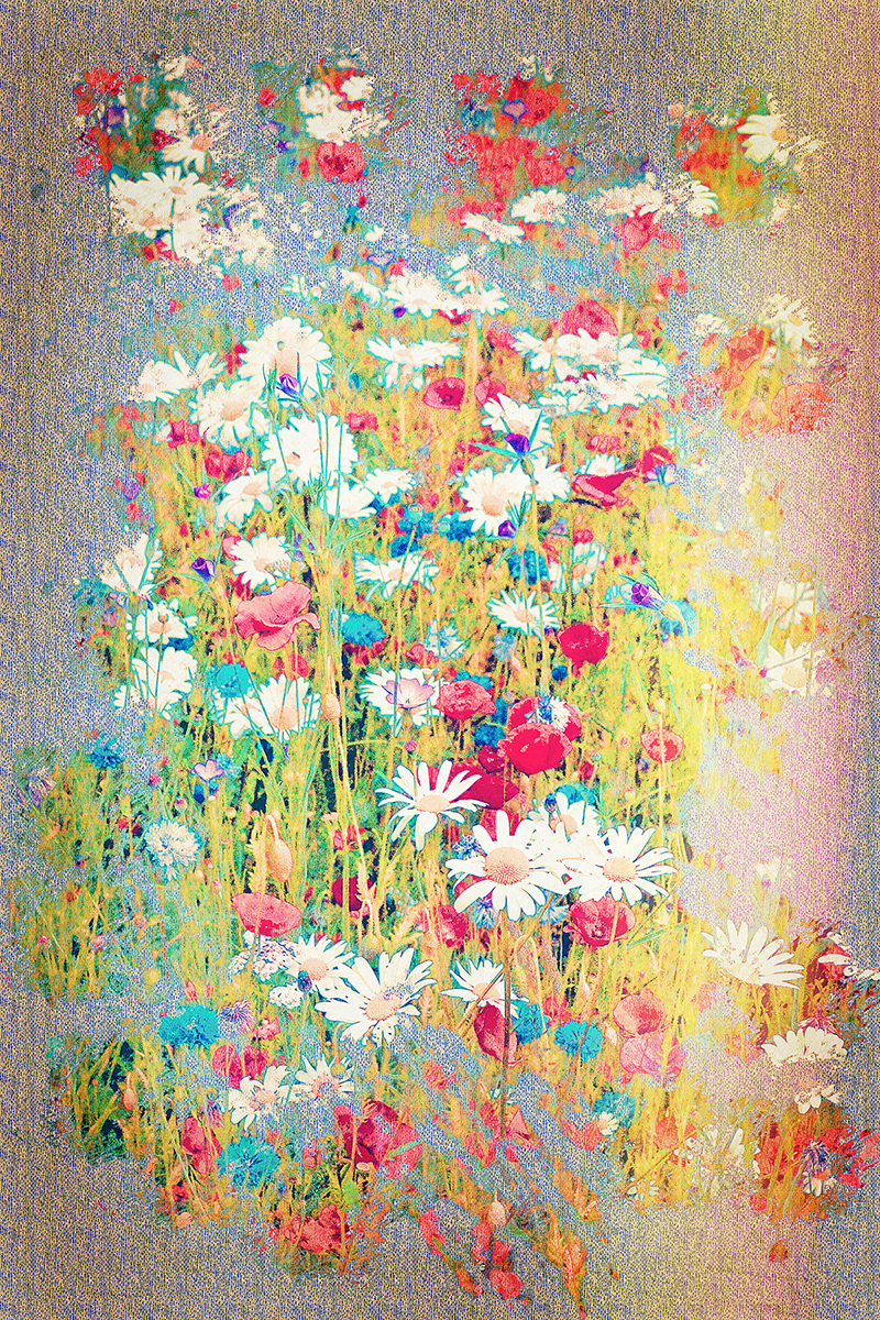 SCORE 10 JUDGE'S AWARD WILD FLOWERS in painterly by Lorraine Rowbottom
