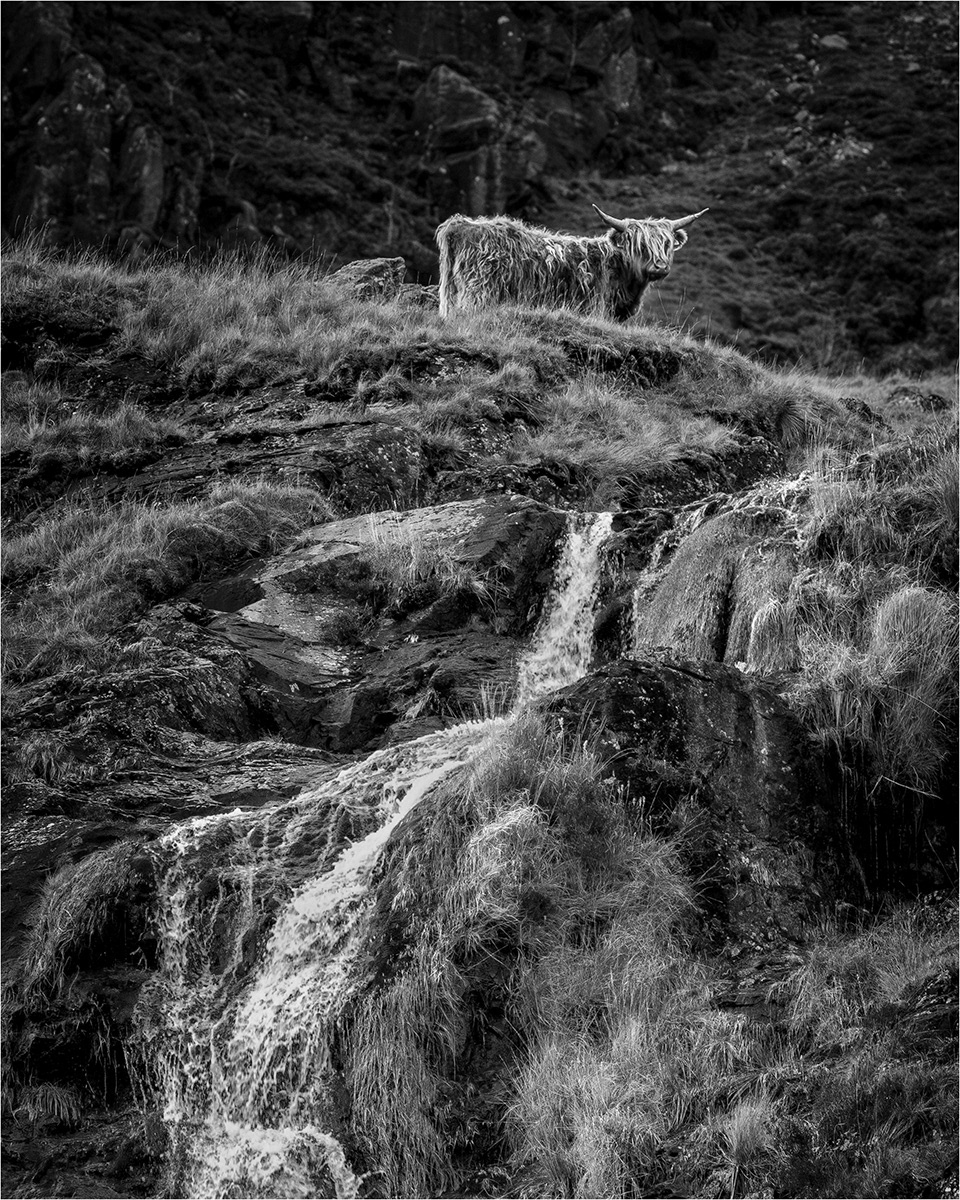 Highland by Bob Ede