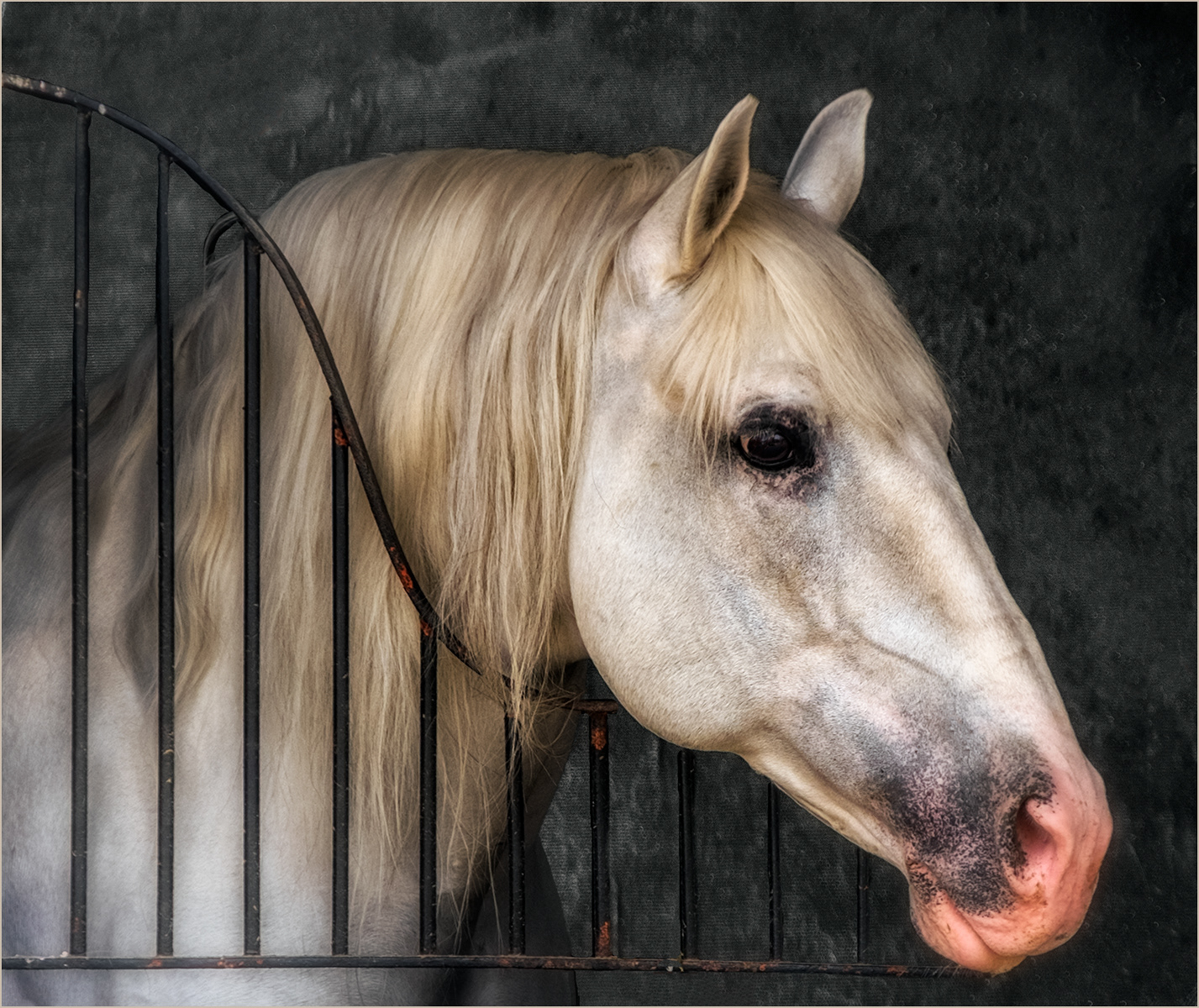 HELD BACK    The Pride of Spain by David Balaam