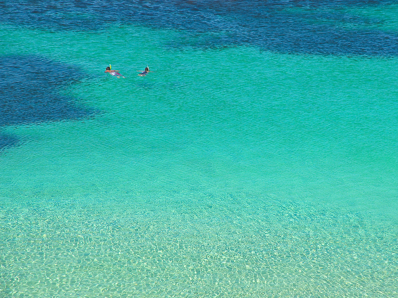 Into the blue by Miles Pedder