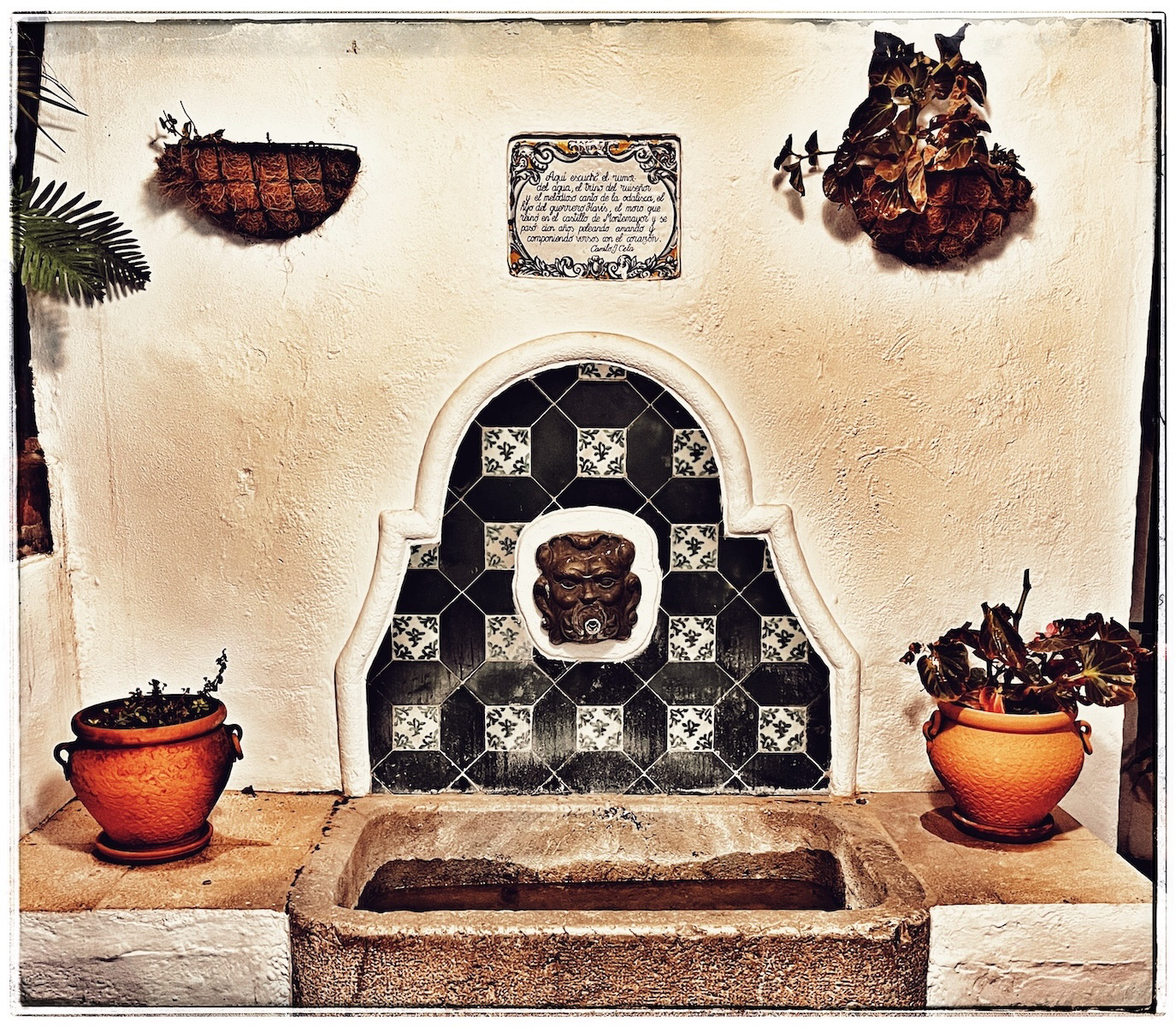 Water Fountain - Benahavis, Malaga by Alan Loryman
