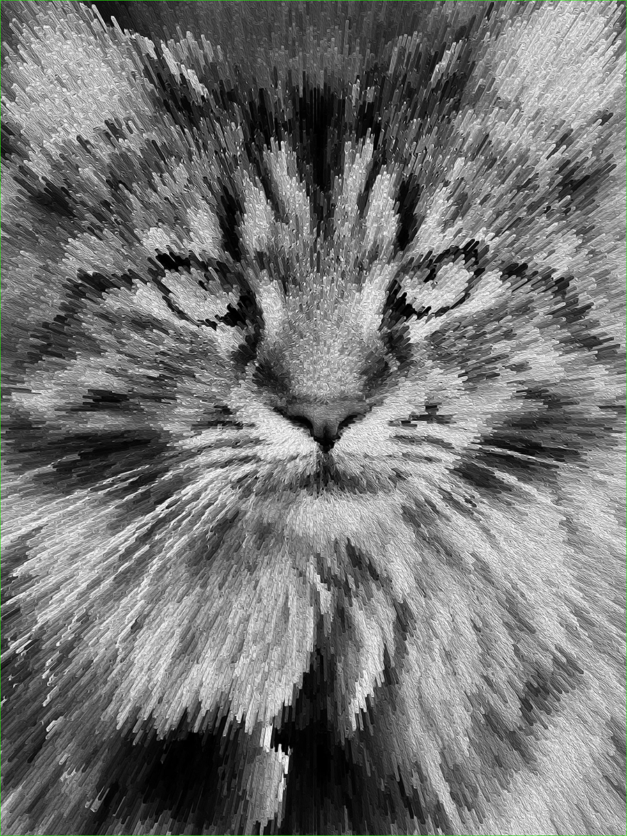 Highly Commended Extruded Maine Coon by Lorraine Rowbottom
