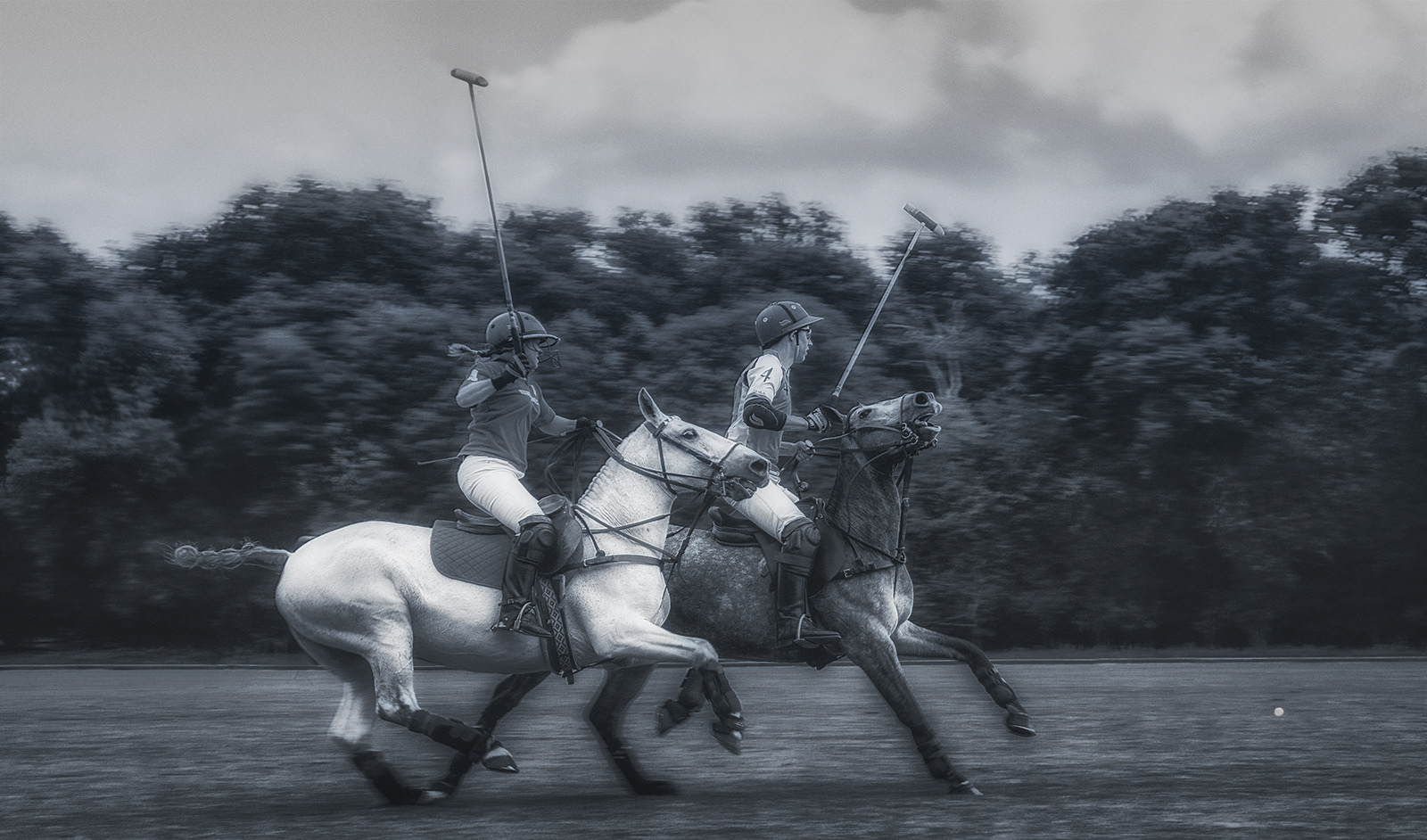 7.5 Polo Ponies by Mike Williamson
