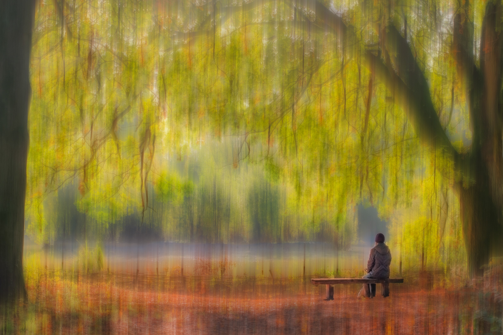 SCORE 9: Blurred Tranquillity by Fiona Humphrey