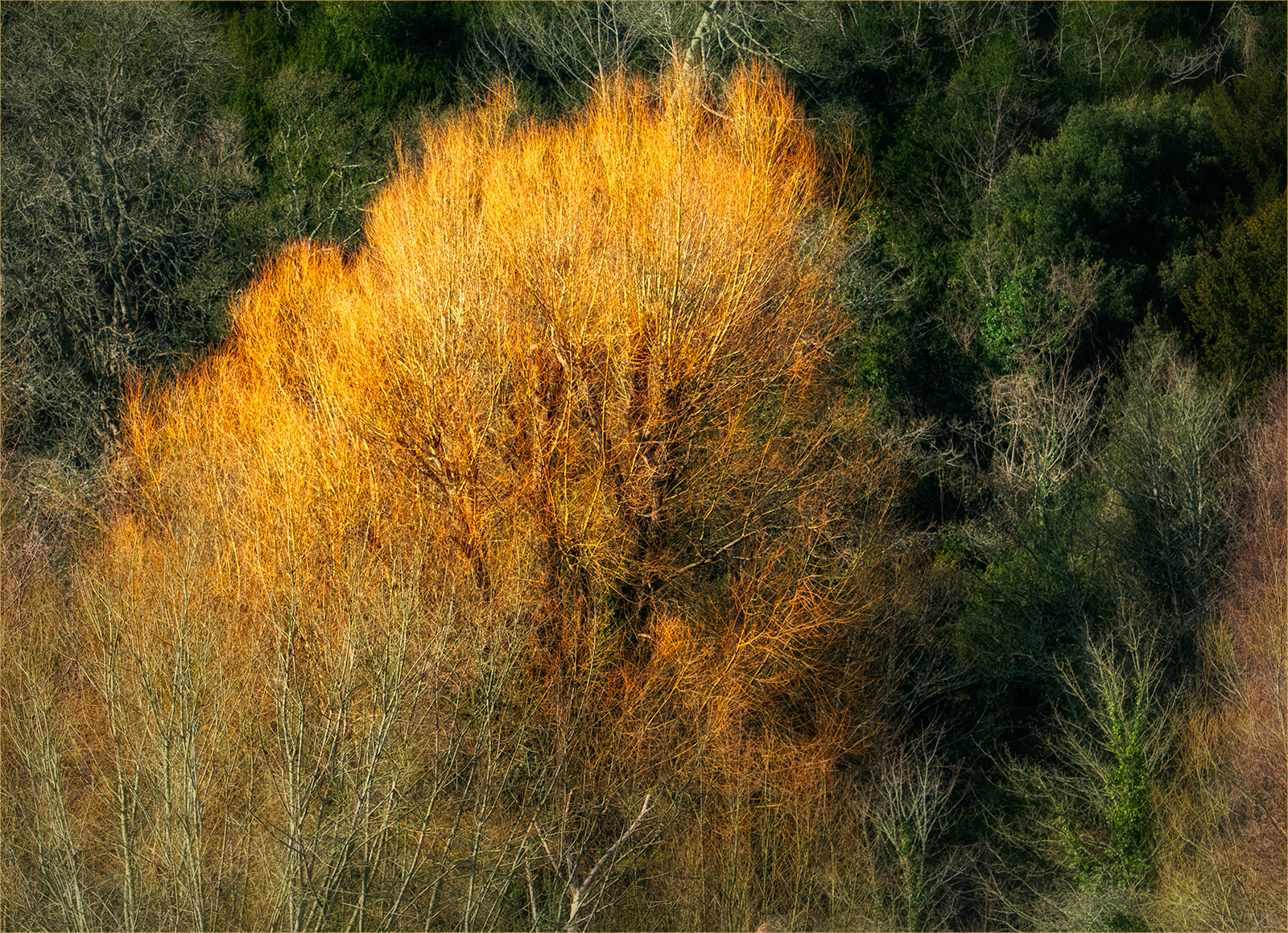 Touching the Sun by David Balaam