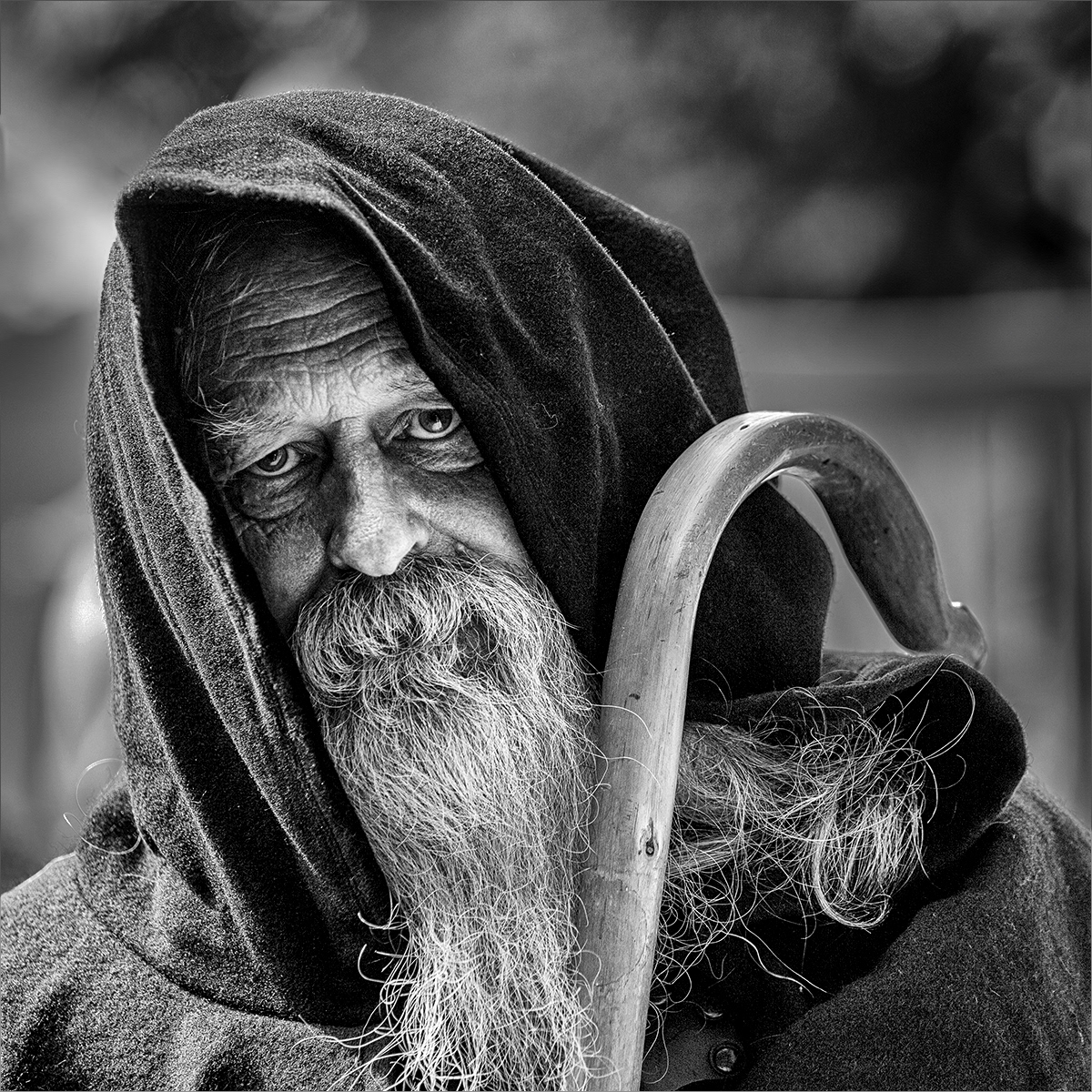SCORE 10 The Wise Shepherd by David Balaam