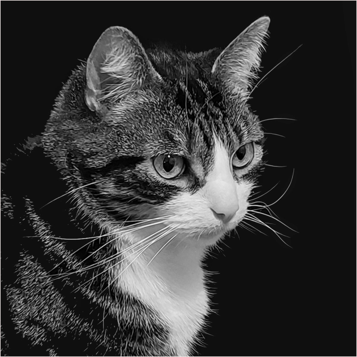 Theodore by Edward Bennett LRPS