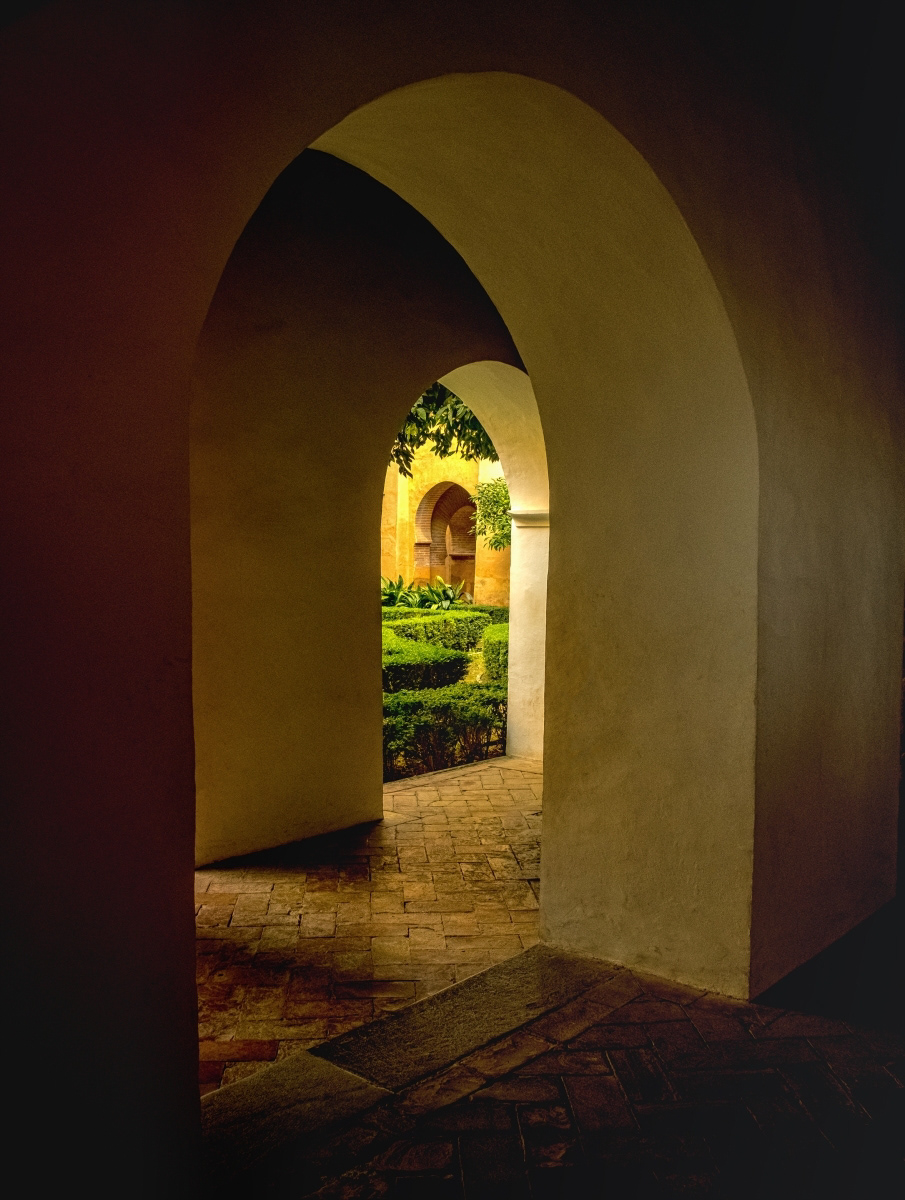 SCORE 9.5 David Balaam The Secret Garden