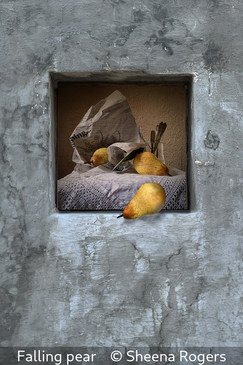 SCORE 9.5 Sheena Rogers - Falling pear