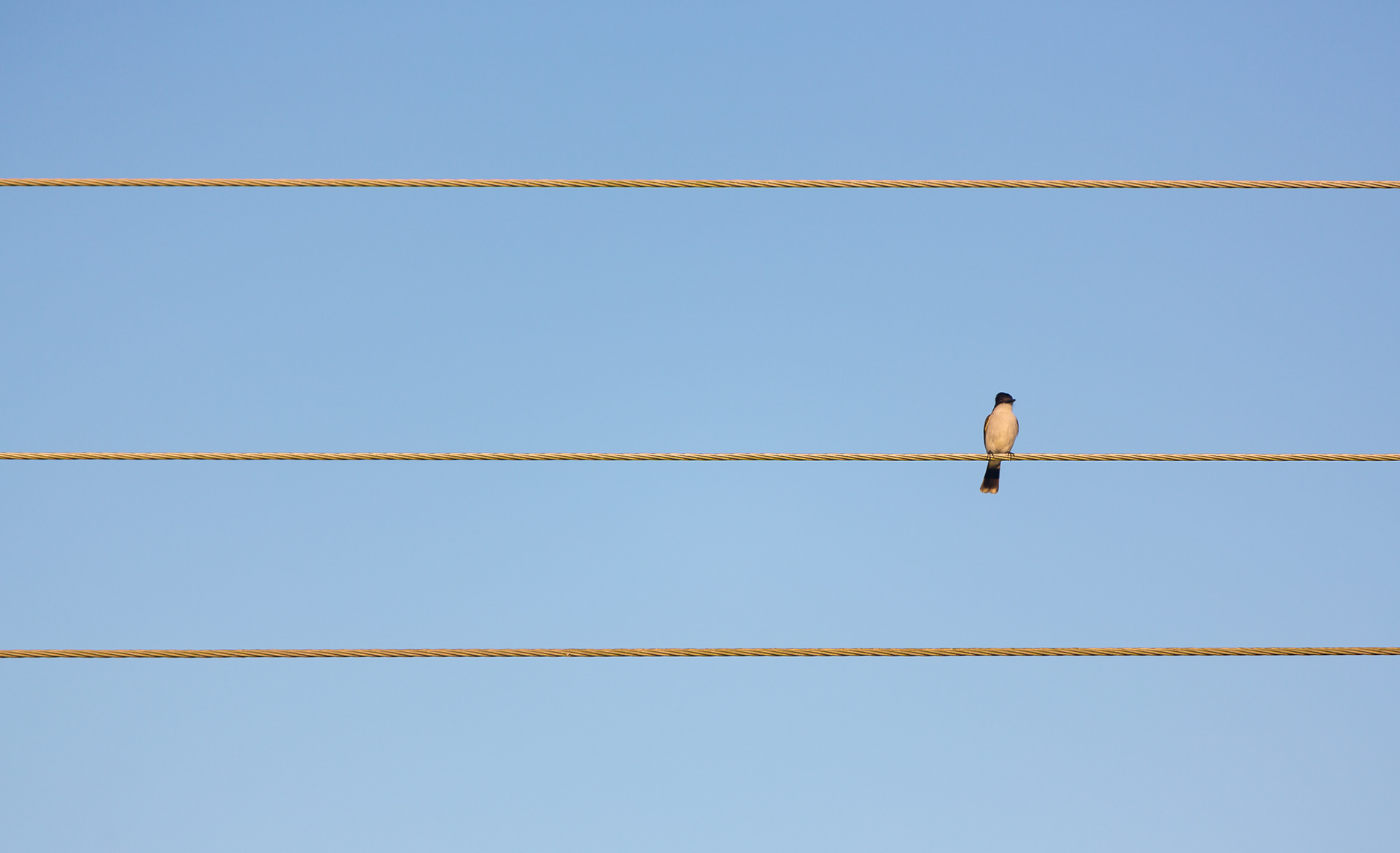 Alone online