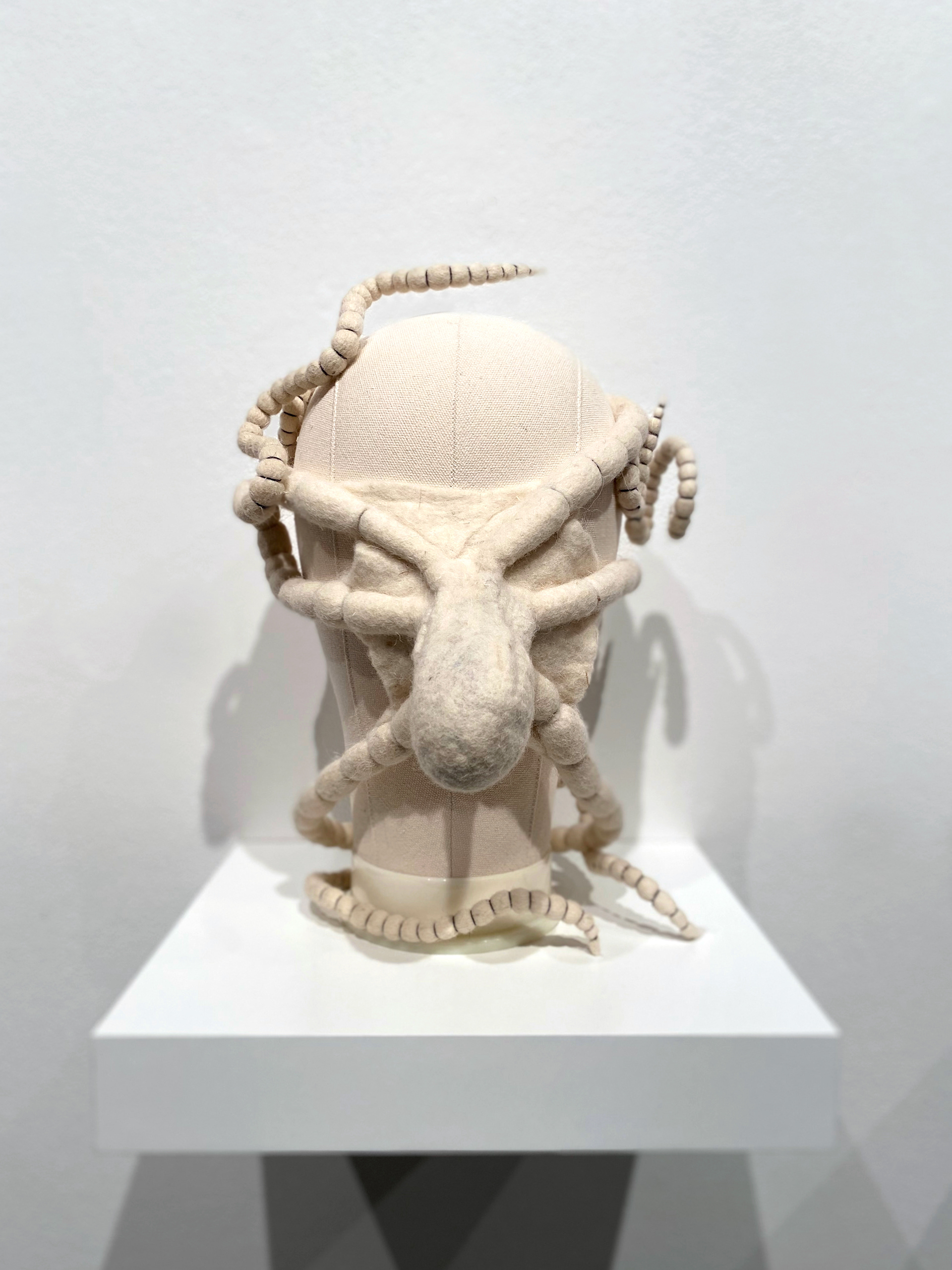 Cristina Rodo, Covidus, Wet felting / Needle felting”, 2020.
