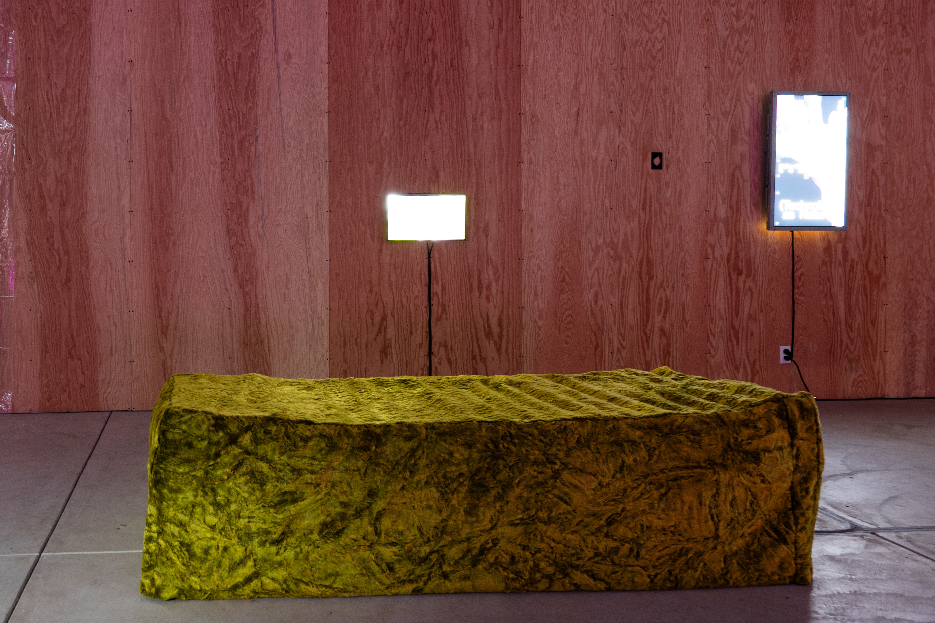 Jillian Crochet - Moss Slowly Grows, 2021