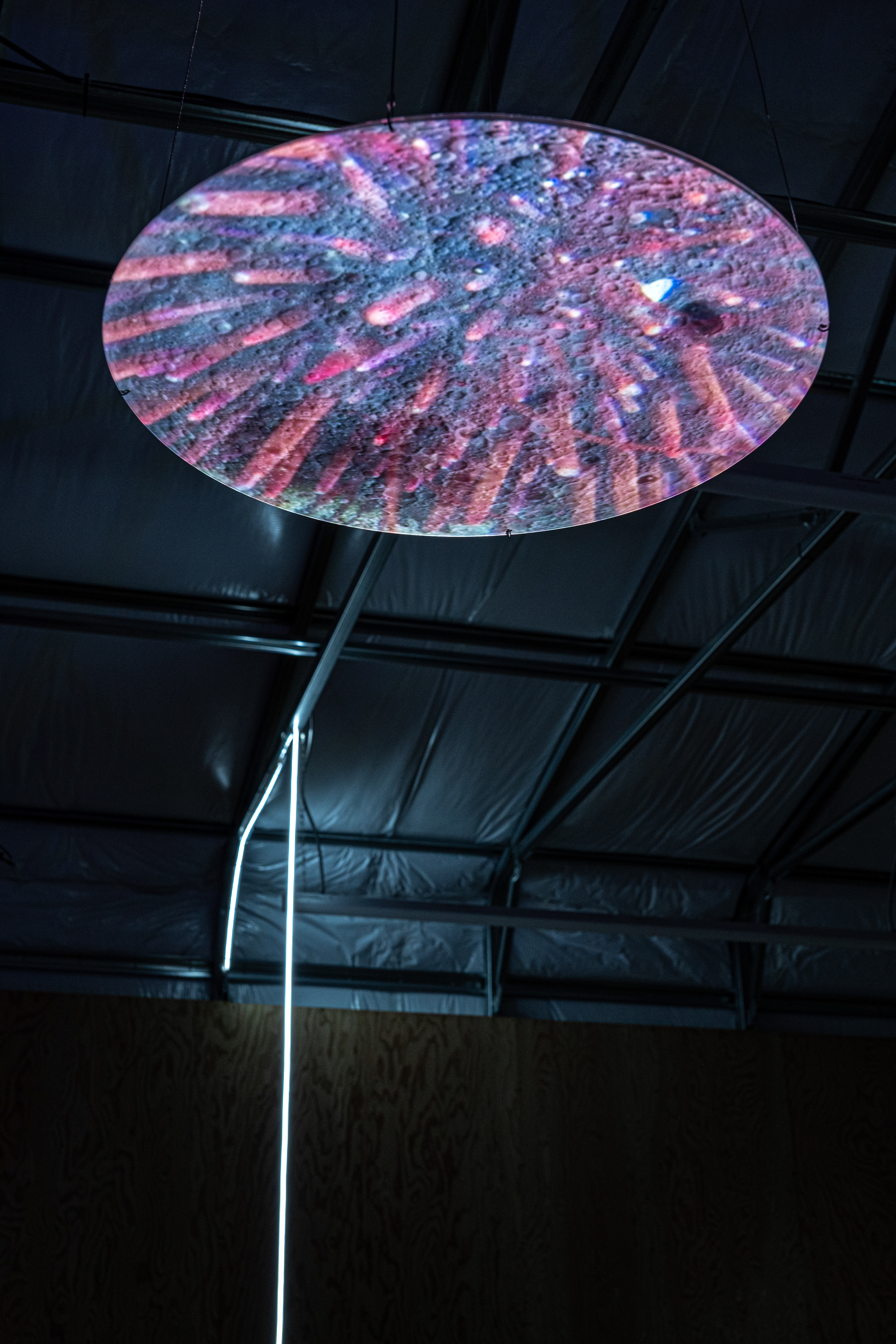 Gail Wight Blue Lunar Eclipse, 2024