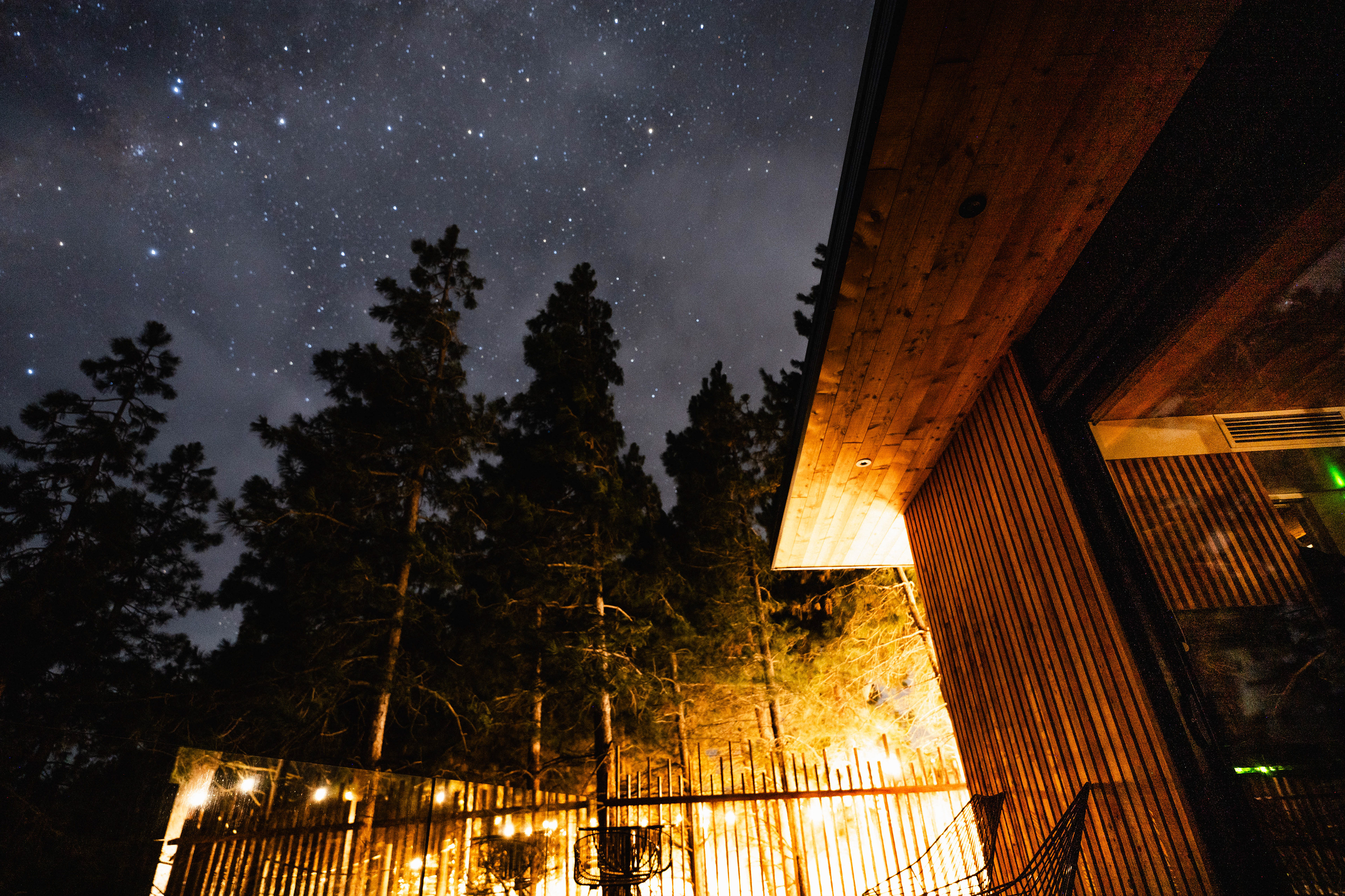 Nest Tree House, New Zealand