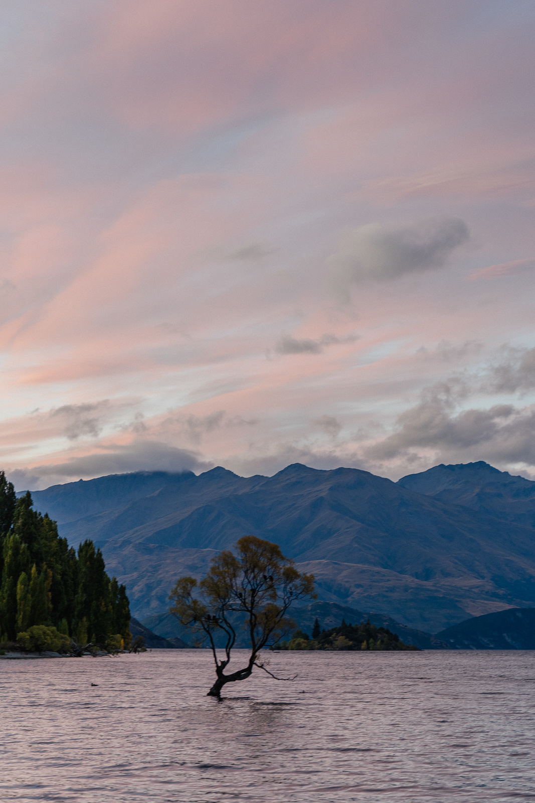 South Island, New Zealand